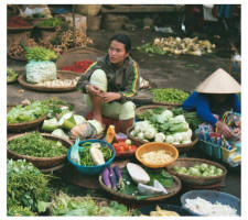 Vietnamese village market